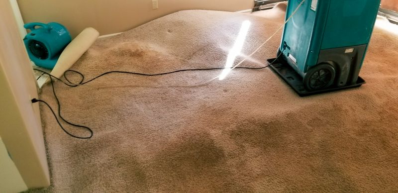 Water Extraction Service in Napa, CA