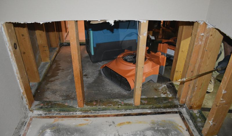 Prevents Mold Growth